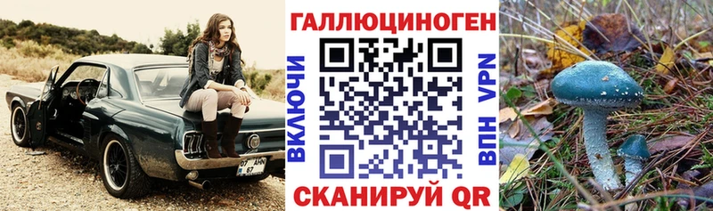 Псилоцибиновые грибы MAGIC MUSHROOMS  Купить  Саранск 